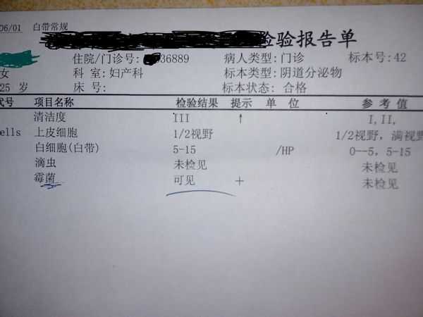 ù׼鱨